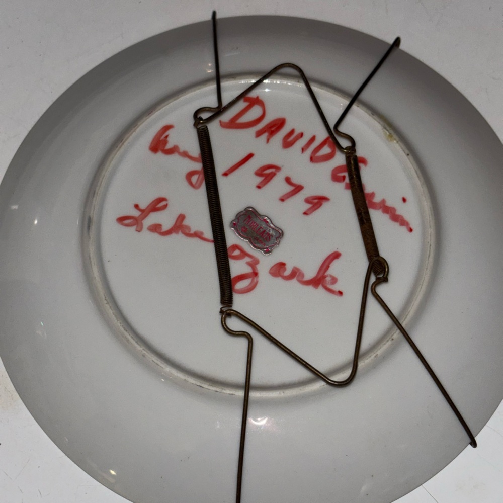 Vintage 70s Snipe Decorative Plate - Picture 2 of 2